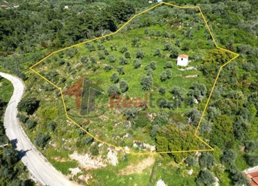 img1dea2e52-9f22-4ac7-80b6-433711ec61db