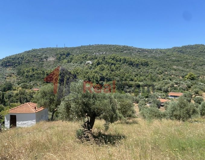 Image No.20-Propriété à vendre à Chora