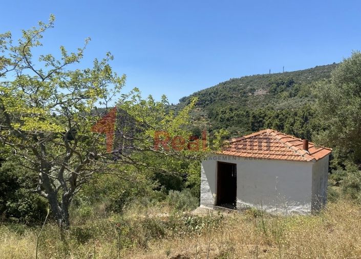 Image No.21-Propriété à vendre à Chora