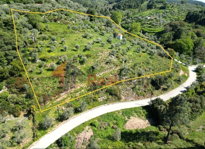 Image No.3-Propriété à vendre à Chora