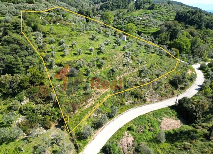 Image No.4-Propriété à vendre à Chora