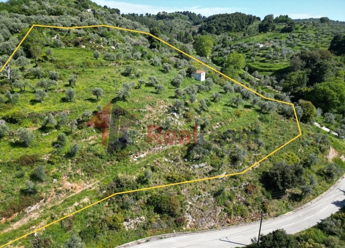 Image No.5-Propriété à vendre à Chora