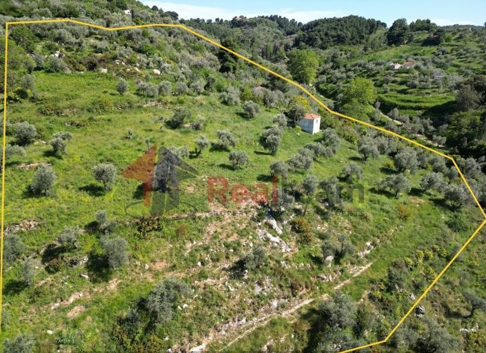 Image No.6-Propriété à vendre à Chora