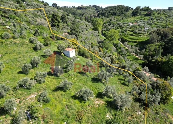 Image No.7-Propriété à vendre à Chora