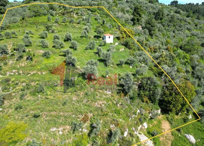 Image No.8-Propriété à vendre à Chora