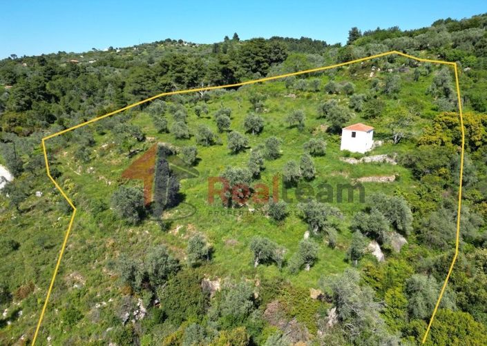 Image No.9-Propriété à vendre à Chora