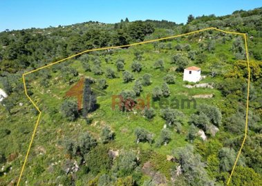 imgc5f22fcb-91e4-40cb-8698-7f2328e0e933