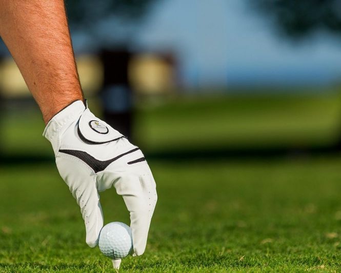 Image No.10-3 Bed Villa for sale