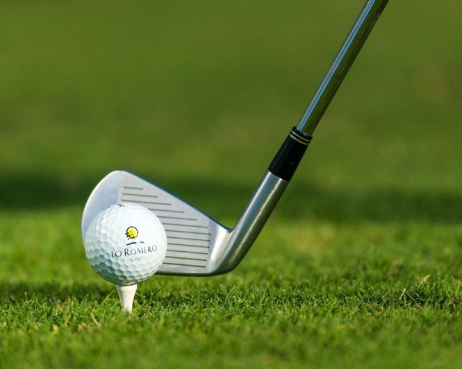 Image No.30-3 Bed Villa for sale