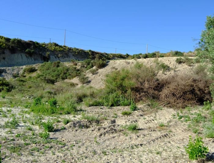 Image No.12-Maison de campagne de 2 chambres à vendre à Las Cunas