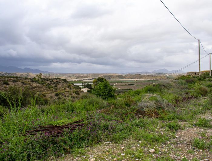 Image No.24-Maison de campagne de 2 chambres à vendre à Las Cunas