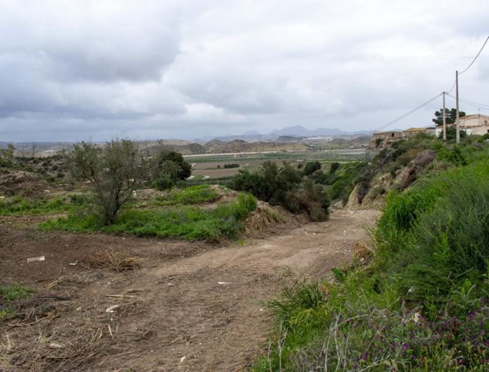 Image No.31-Maison de campagne de 2 chambres à vendre à Las Cunas
