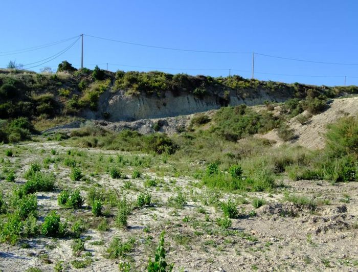 Image No.6-Maison de campagne de 2 chambres à vendre à Las Cunas