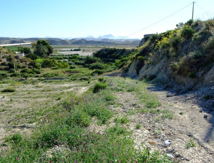 Image No.7-Maison de campagne de 2 chambres à vendre à Las Cunas