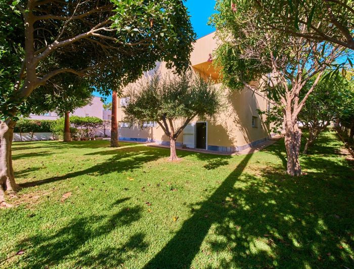 Image No.4-Propriété de 4 chambres à vendre à Vera