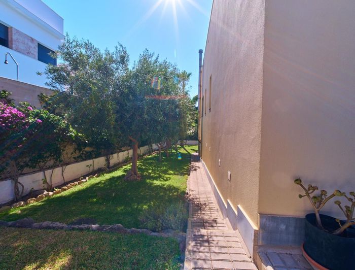 Image No.32-Propriété de 4 chambres à vendre à Vera