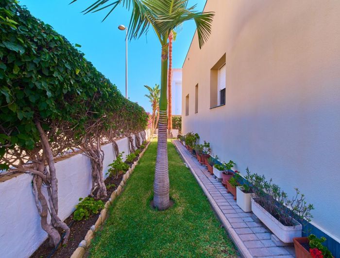 Image No.33-Propriété de 4 chambres à vendre à Vera