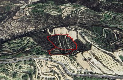 Agricultural Land For Sale  in  Koili