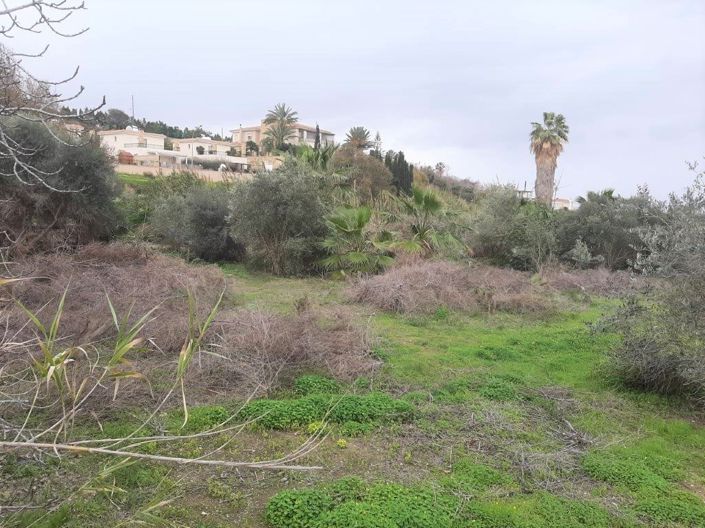 Image No.2-Terre à vendre à Chlorakas