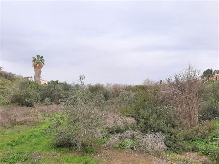 Image No.3-Terre à vendre à Chlorakas