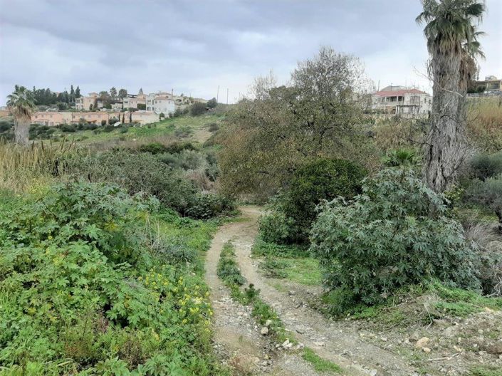 Image No.4-Terre à vendre à Chlorakas