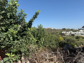 Detached Villa For Sale  in  Acheleia