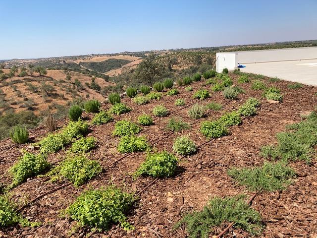 Image No.13-3 Bed Villa for sale