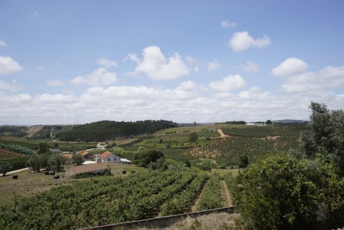 Image No.10-9 Bed Mansion for sale