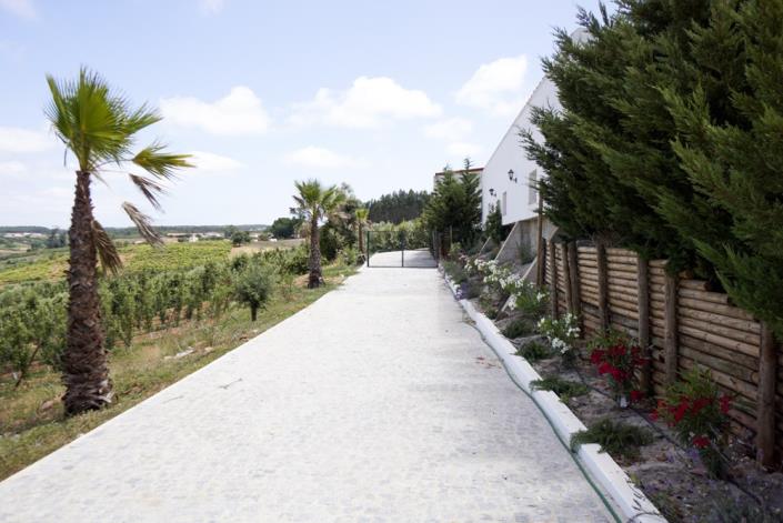 Image No.25-9 Bed Mansion for sale