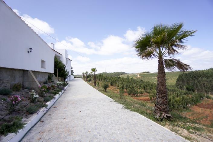 Image No.26-9 Bed Mansion for sale