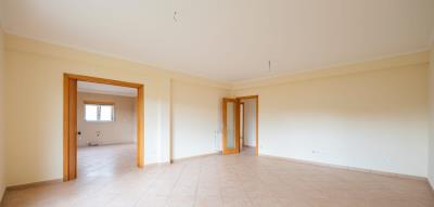 IMG-20251007-WA0036-kopie