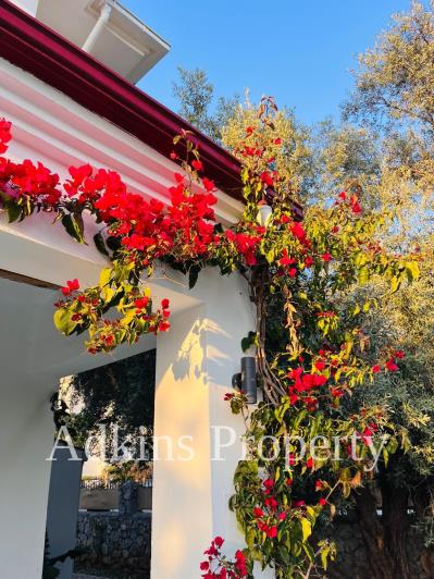 Image No.41-4 Bed Villa / Detached for sale