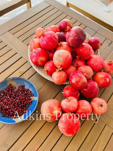 Image No.45-4 Bed Villa / Detached for sale