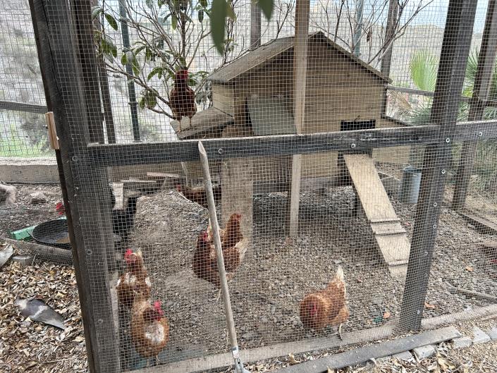 Image No.15-Chalet de 4 chambres à vendre à Murcie