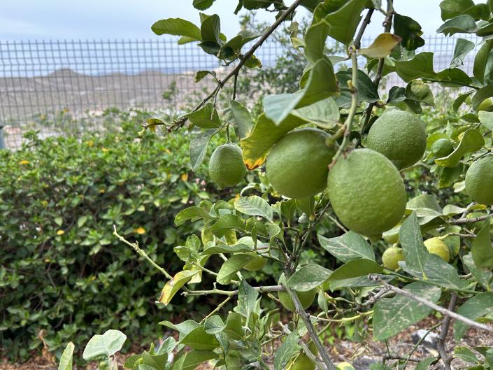 Image No.16-Chalet de 4 chambres à vendre à Murcie