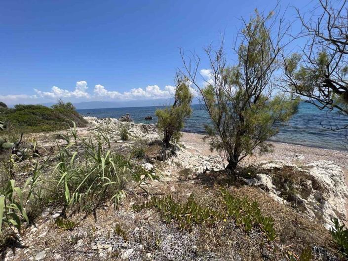 Image No.4-Commercial for sale