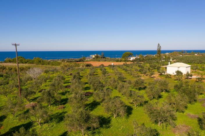 Image No.3-Plot for sale