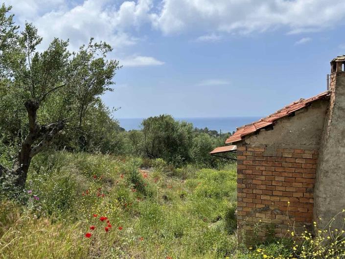Image No.8-Chalet à vendre à Foinikountas