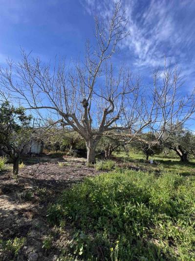 Image No.14-Terrain à vendre à Gialova