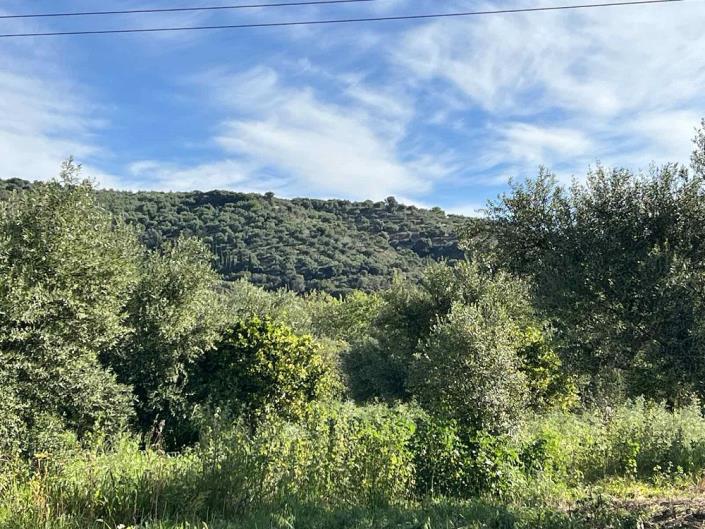 Image No.15-Terrain à vendre à Gialova