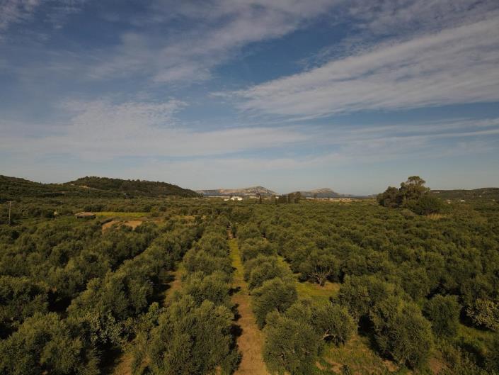 Image No.5-Terrain à vendre à Gialova