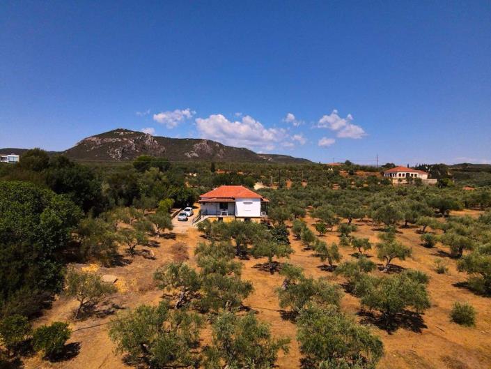 Image No.19-2 Bed House for sale