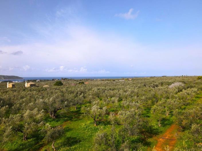 Image No.2-Terrain à vendre à Messinia