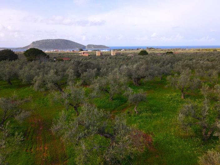 Image No.4-Terrain à vendre à Messinia