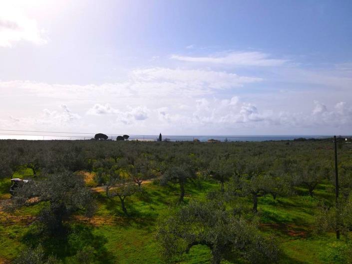 Image No.6-Terrain à vendre à Messinia