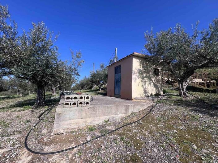 Image No.7-Plot for sale