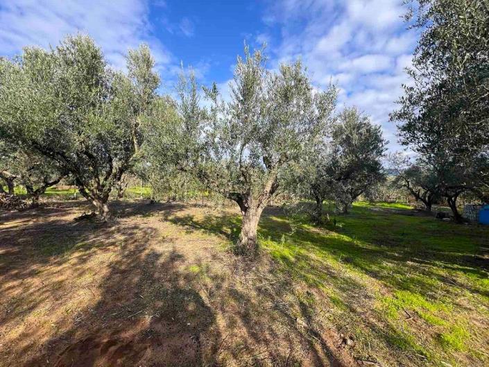 Image No.26-Maison de 3 chambres à vendre à Messinia