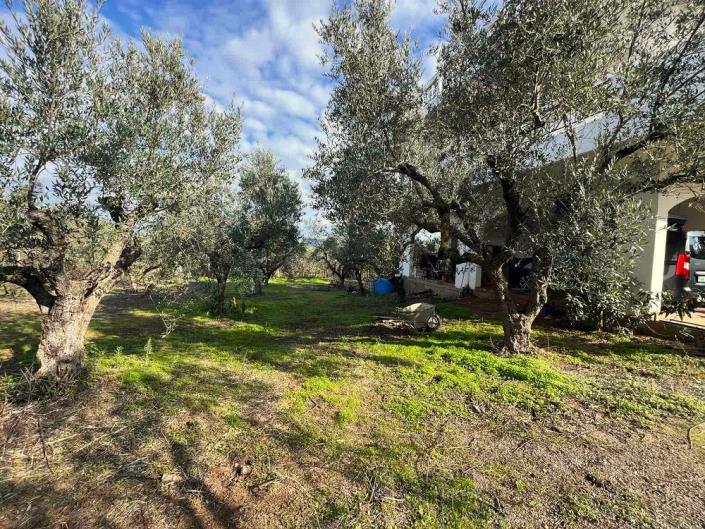 Image No.27-Maison de 3 chambres à vendre à Messinia