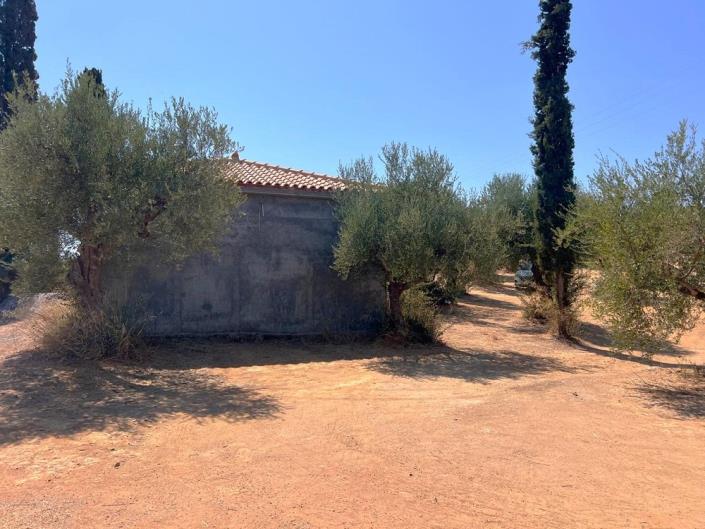 Image No.10-Bungalow à vendre à Koroni