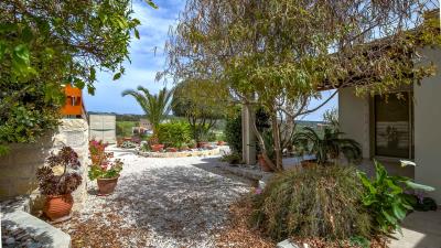 Anogyra-Porter--1-of-17-